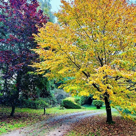 Wigeon Secluded Rustic